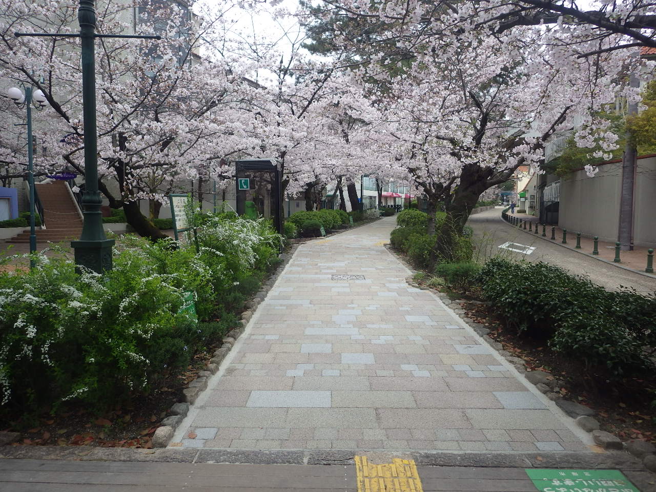 花のみちリニューアル工事